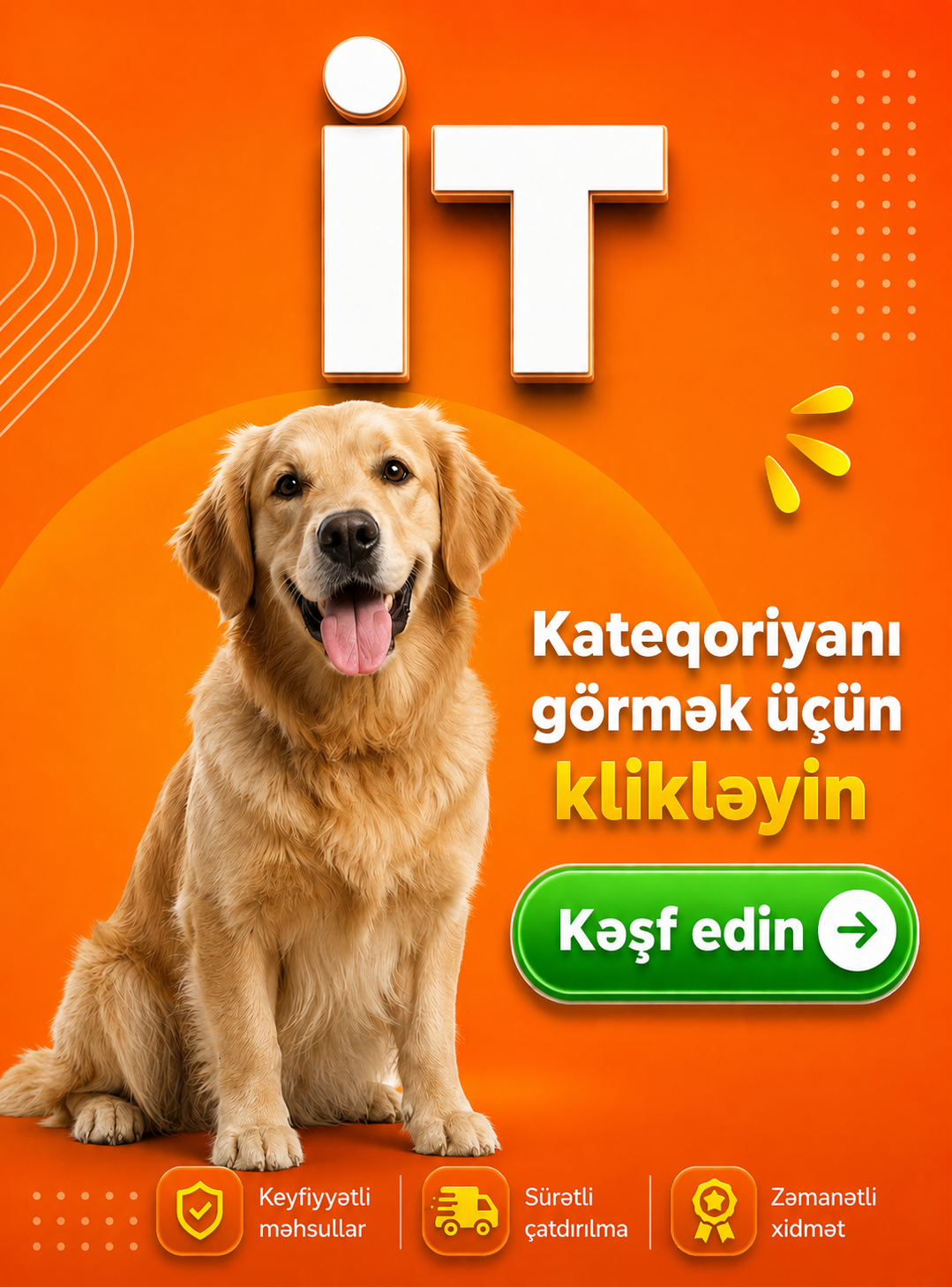 Köpek Aksesuarları