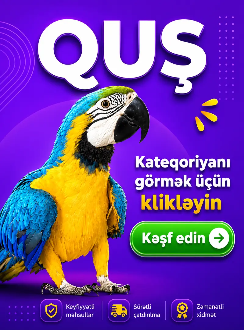 Kuş Aksesuarları