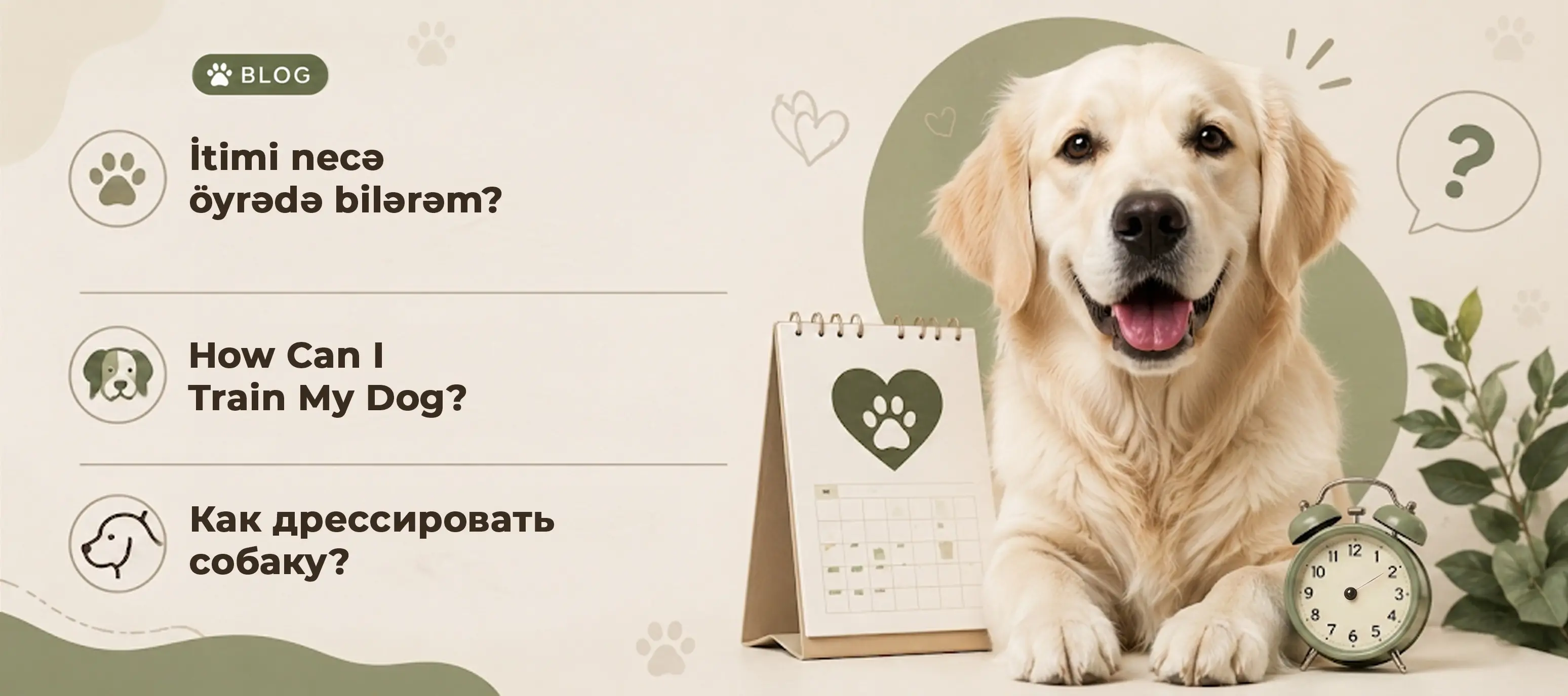 İtimi necə öyrədə bilərəm? (Əmr və davranış)