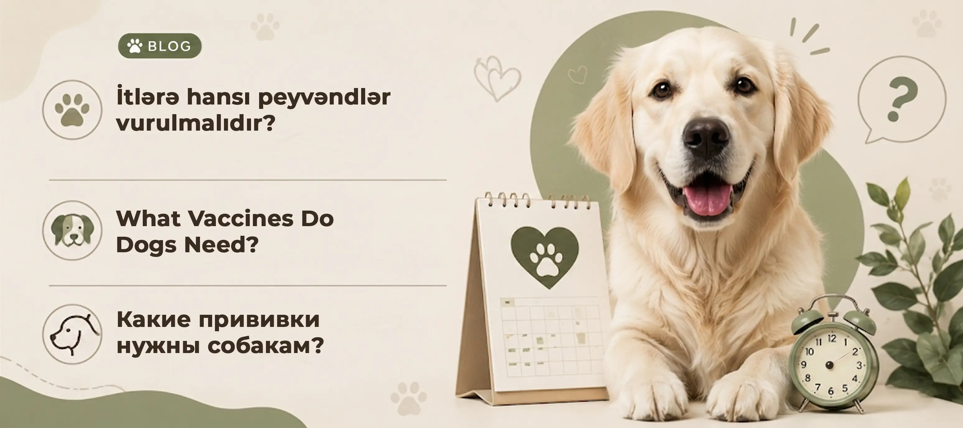 İtlərə hansı peyvəndlər vurulmalıdır?