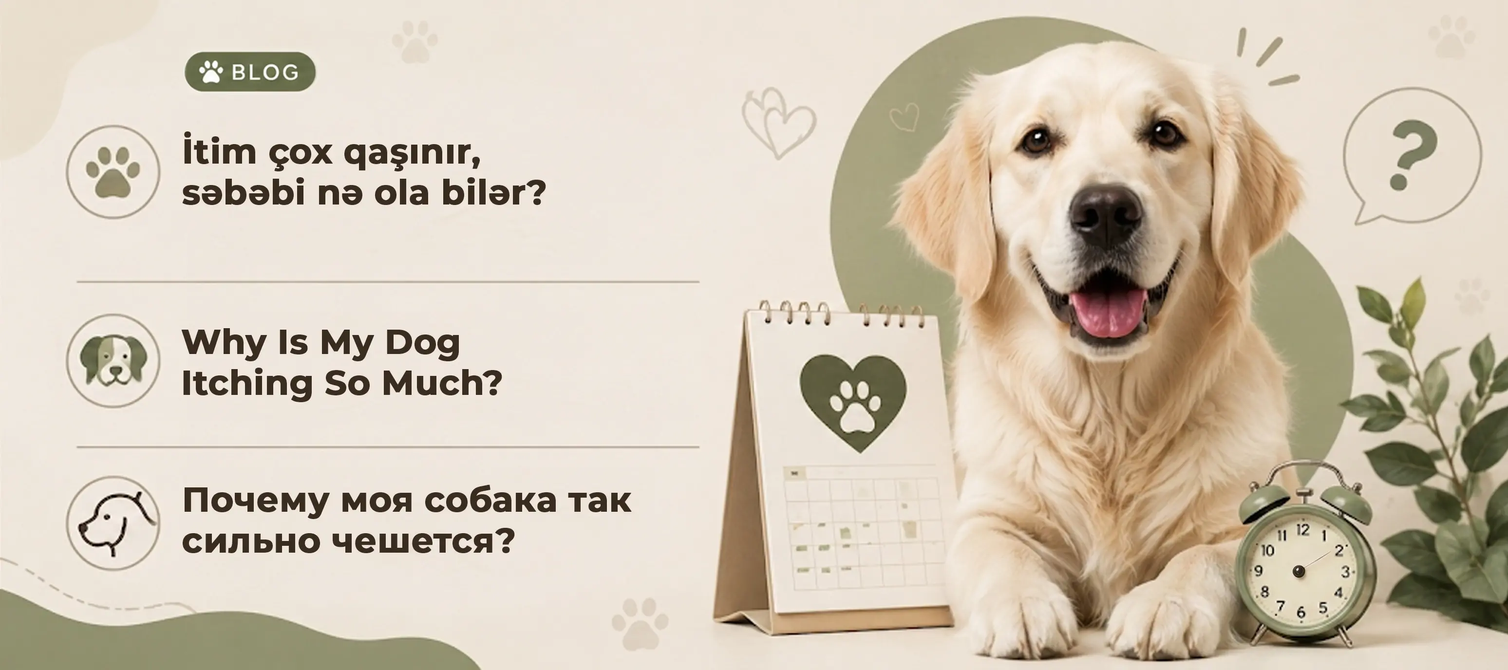 İtim çox qaşınır, səbəbi nə ola bilər?
