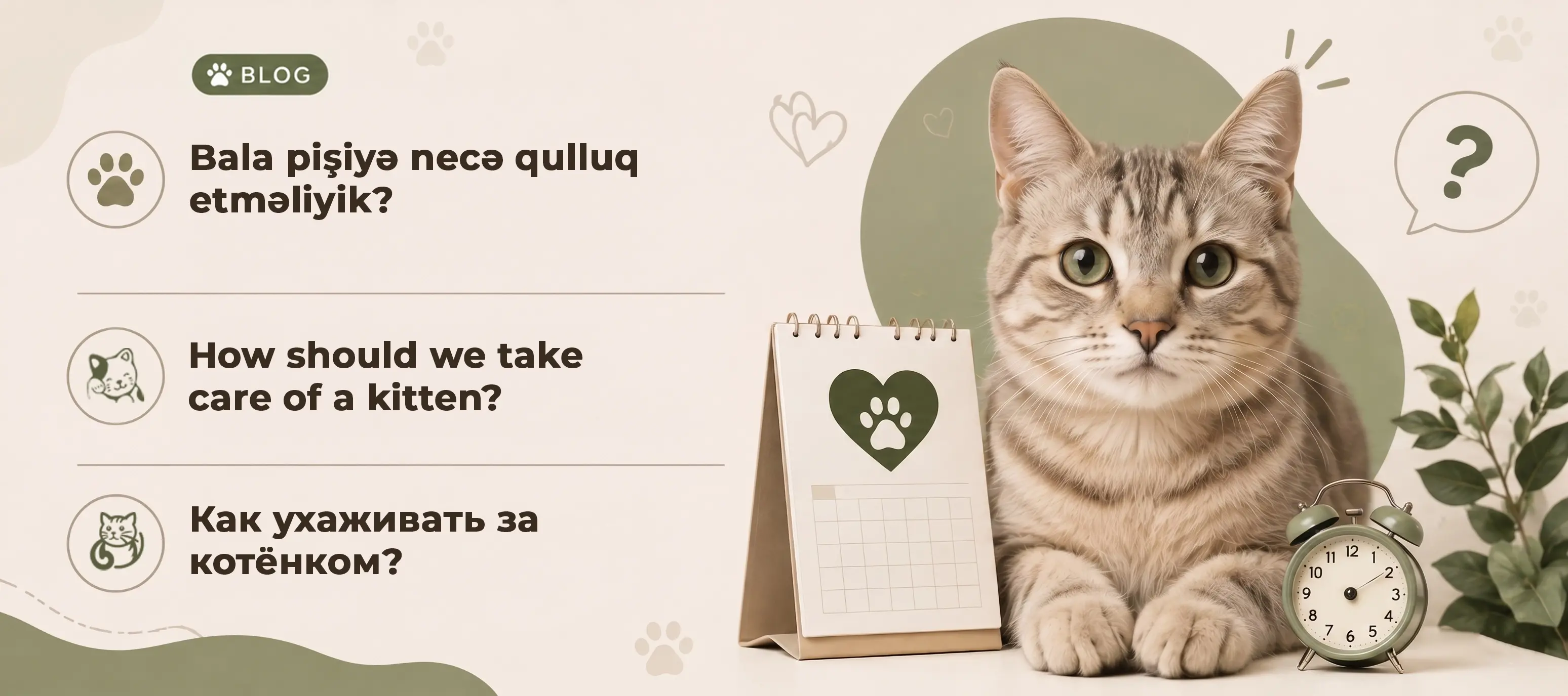 Bala pişiyə necə qulluq etməliyik?
