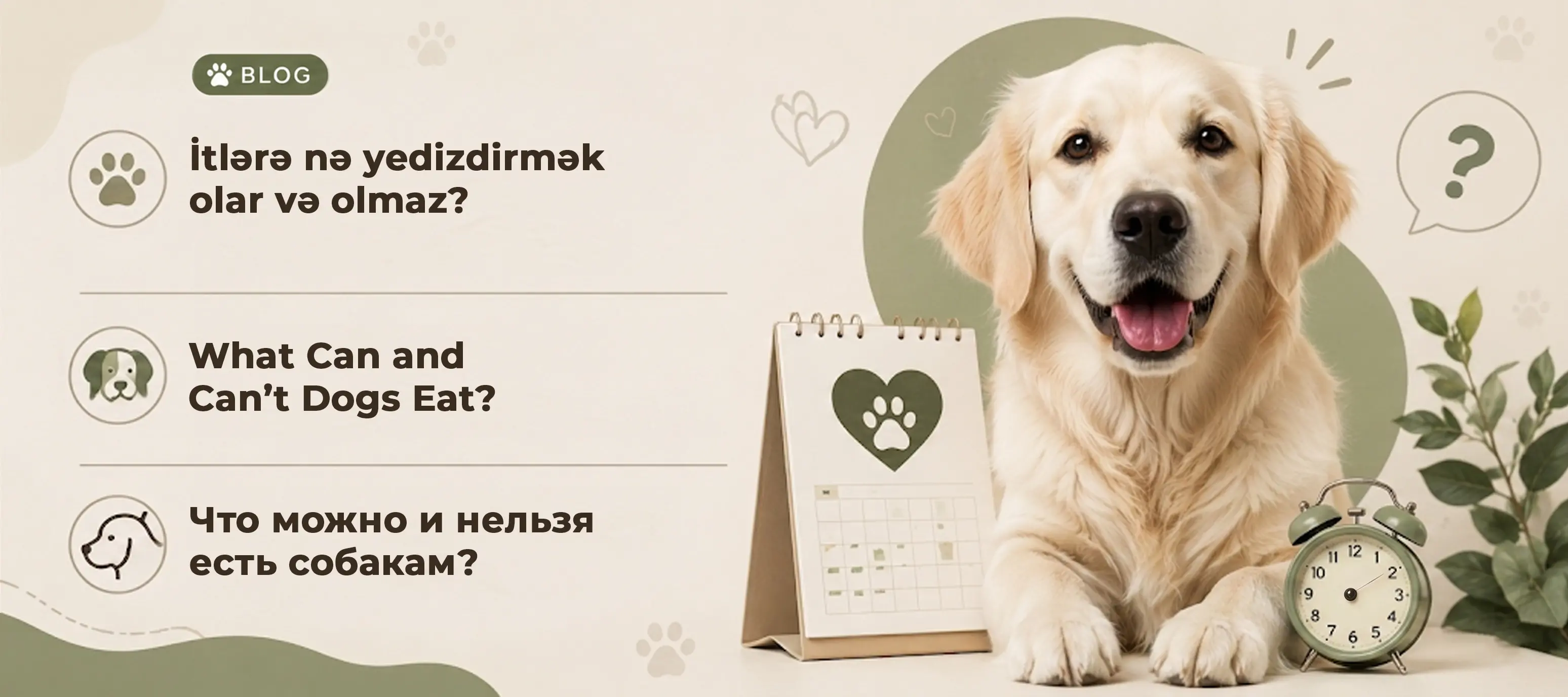 İtlərə nə yedizdirmək olar / olmaz?