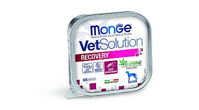 Monge VetSolution Recovery / Bərpa Dövrü üçün İt Paştet , 150 qr - MONGE