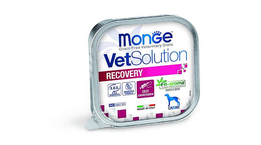 Monge VetSolution Recovery / Bərpa Dövrü üçün İt Paştet , 150 qr - 1