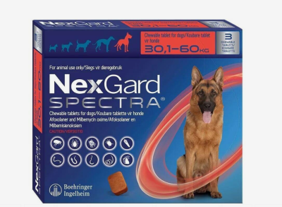 Nexgard Spectra XL 30-60 KQ 150/30 MG (1 ƏDƏD) - NexGard