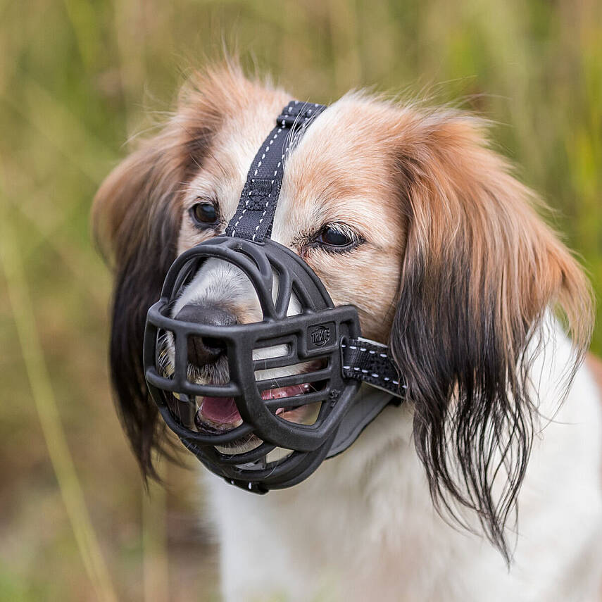 Trixie Muzzle Flex Elastik Ağızlıq S, qara - 3